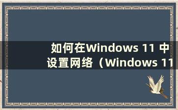 如何在Windows 11 中设置网络（Windows 11 设置）